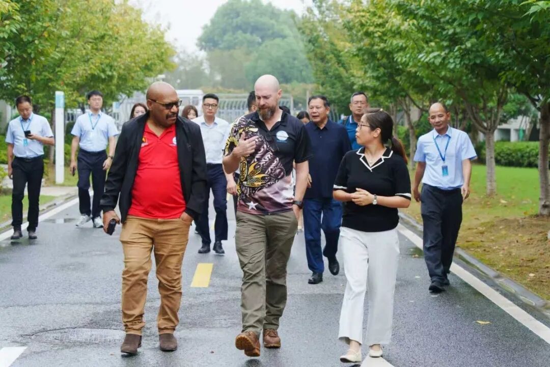 1760489002632498.jpg 1760489002632498.jpg